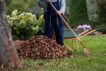 How Does Yard Waste Collection Differ Between Seasons?