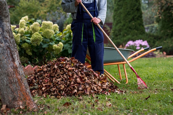 How Does Yard Waste Collection Differ Between Seasons?